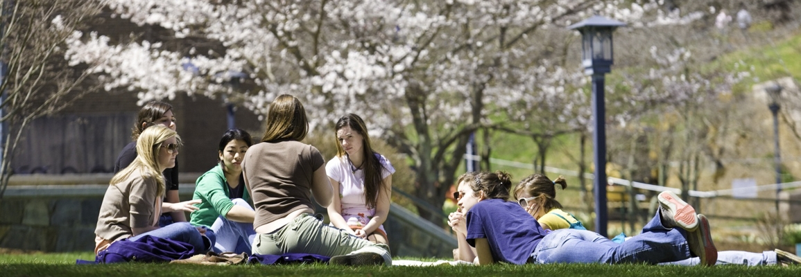 students in group sitting on the grass during spring time